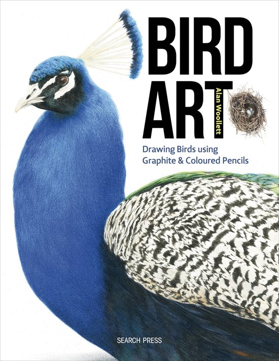 Bird Art - cover