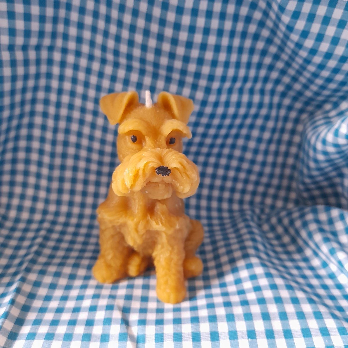 Bijenwas kaars, hondje, schnautzer