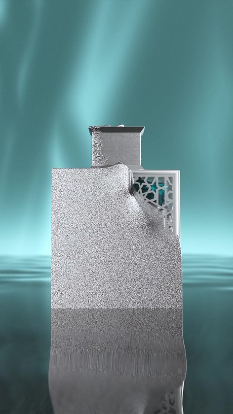 Rayhaan Aquatica, Eau de Parfum - 100ml | bol