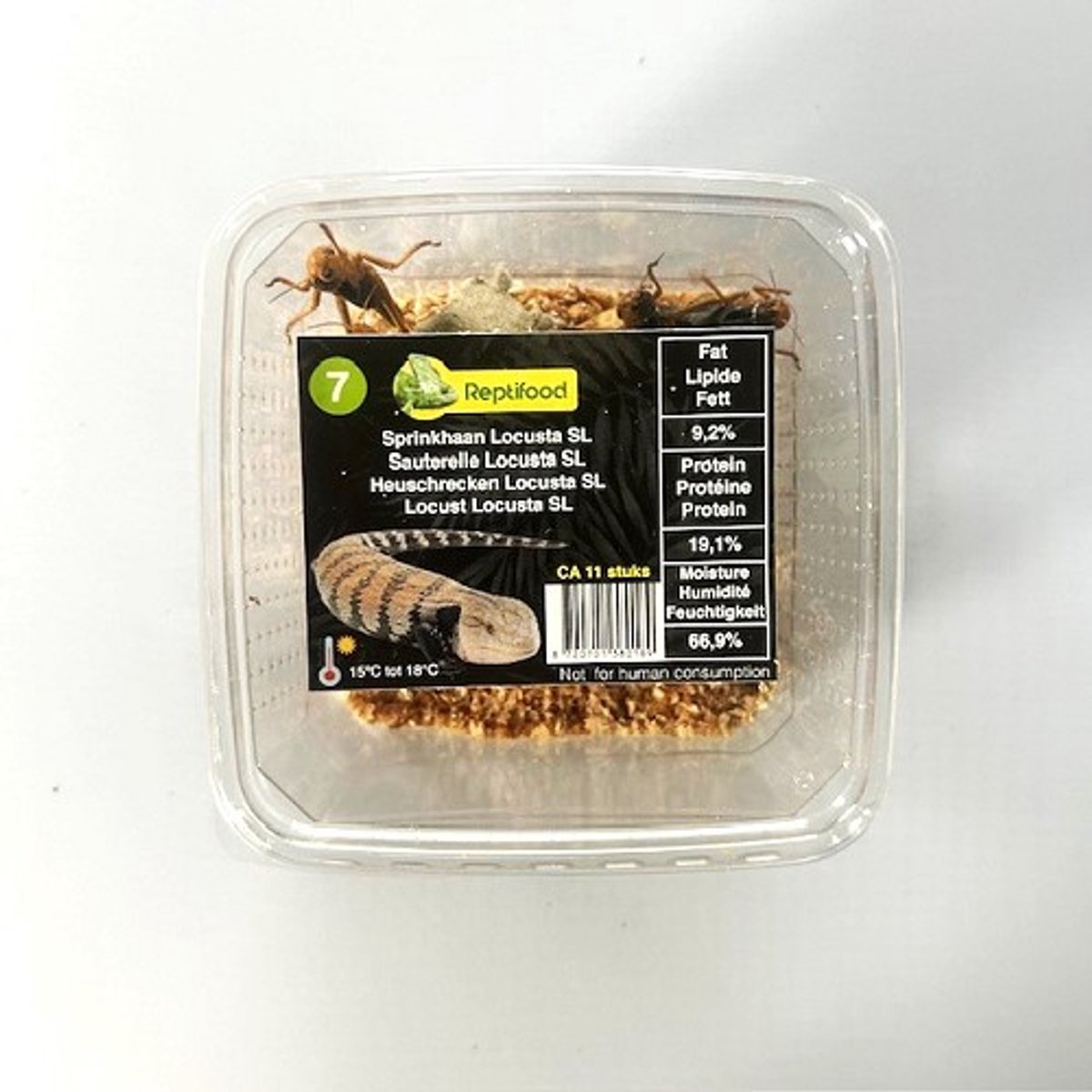 5 bakjes levende sprinkhanen maat 7