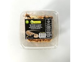 5 bakjes levende sprinkhanen maat 7