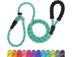 TagME 1.8M Hondenriem voor wandelen en training, leiband met zachte grip en reflectoren, ideale dagelijkse lijn voor alle rassen, 8mm x 185cm, Turkoois