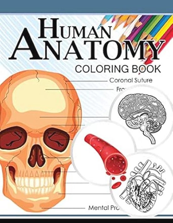 Livre de Coloriage Anatomie Humaine: Apprentissage Interactif de l ...