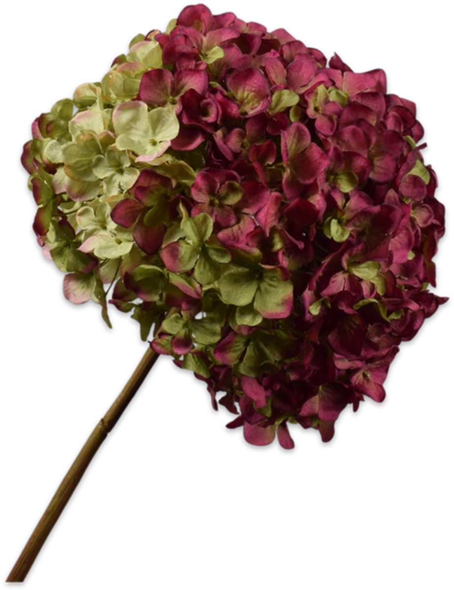 Silk-ka Hortensia tak beauty 79 cm Donkerrood