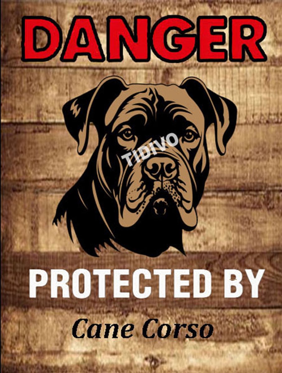Cane Corso 19