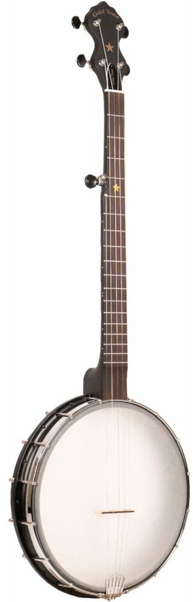 Gold Tone AC-12 5-snarige open back banjo met gigbag