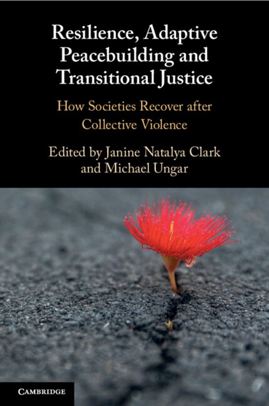 Resilience, Adaptive Peacebuilding and Transitional Justice - cover