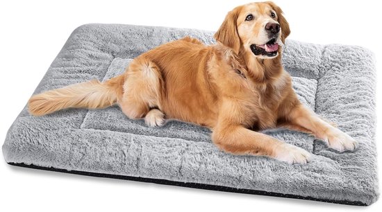 Panier pour grands chiens - Coussin pour animaux - Lavable - 120 x 60 cm - Panier ultra doux pour chat avec base antidérapante - Grijs