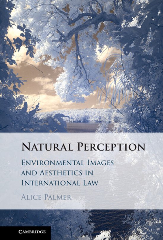 Natural Perception - cover