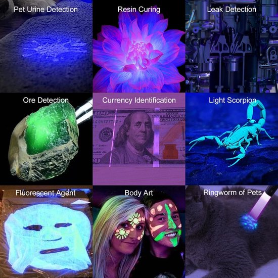 Onefire-linterna con Detector de manchas de dinero para mascotas, marcador de tr
