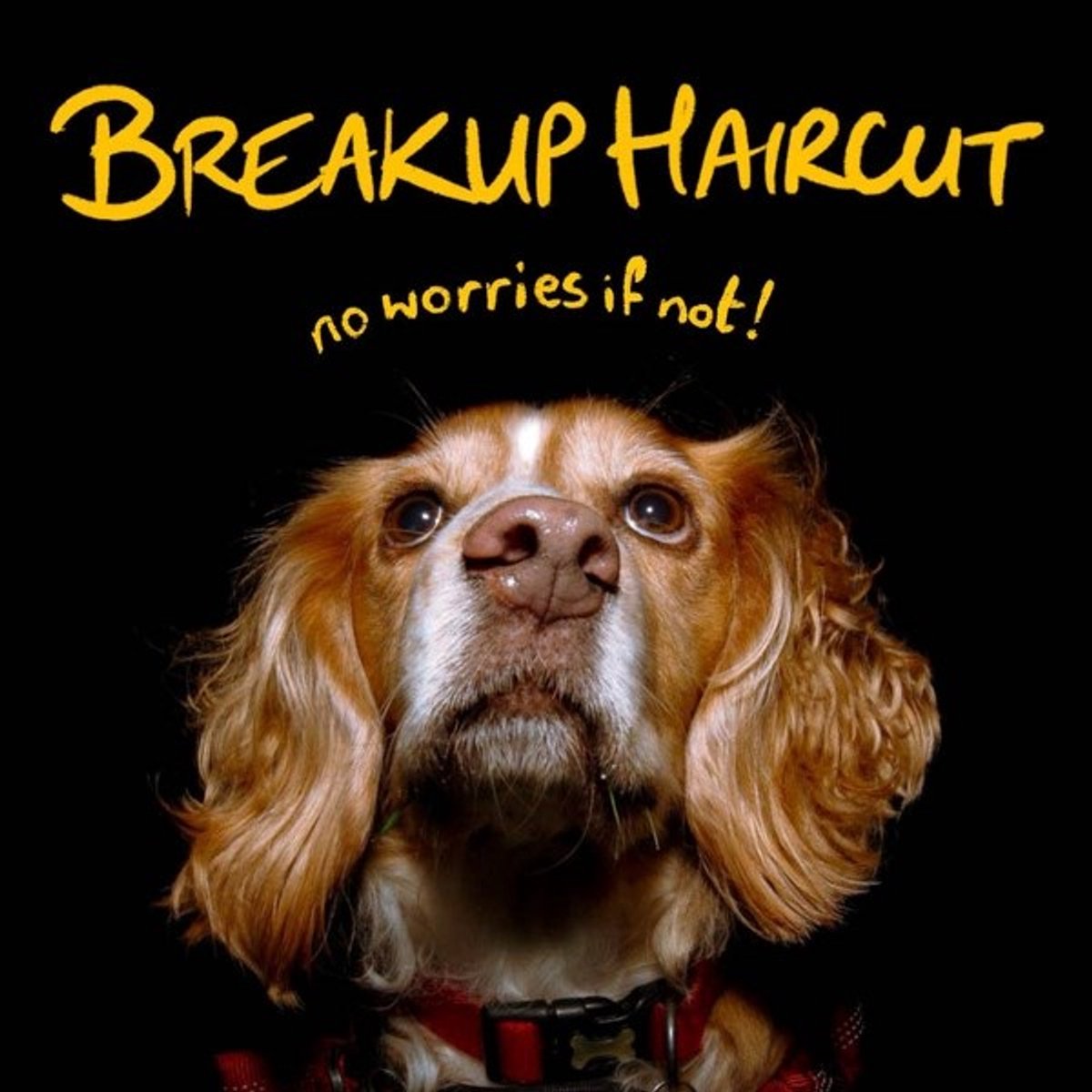 Breakup Haircut - No Worries If Not (CD)