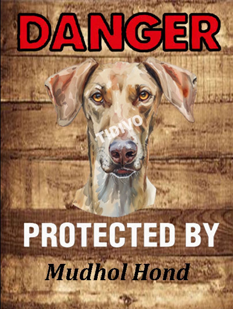 Mudhol Hond 19