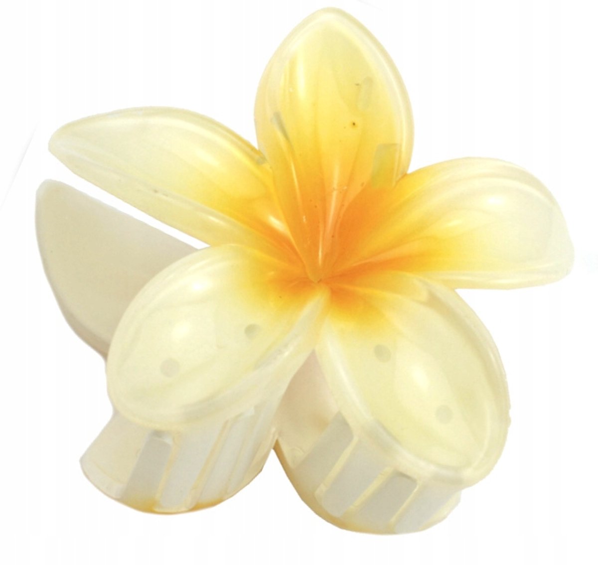 De Grote Bohoii Ruimte 8 cm - Stijl Zomerse