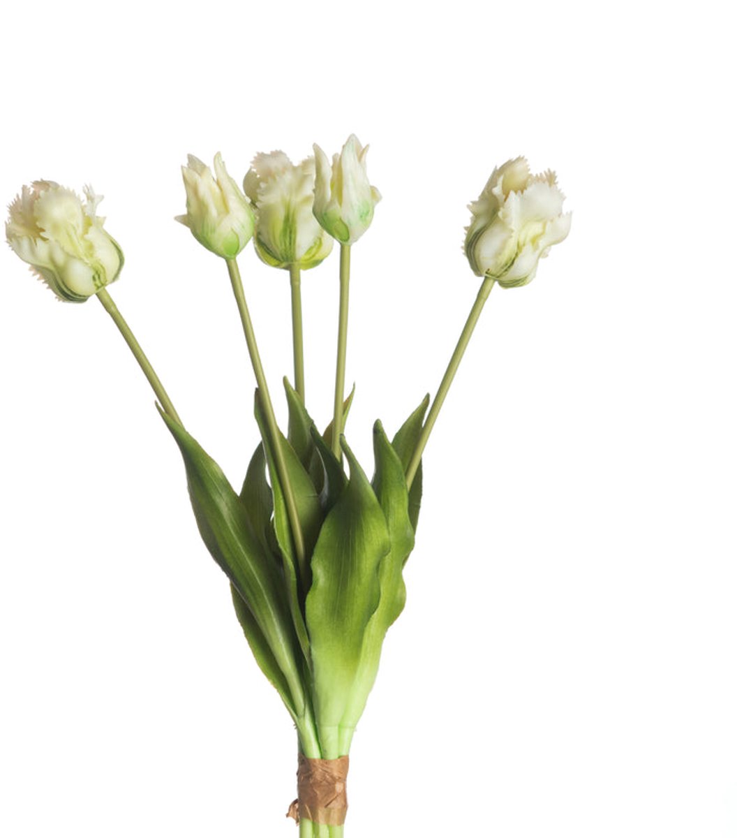 Parrot kunst tulpen boeket van 5 White/Green parrot kunsttulpen-Real Touch Parrot Tulip x5 L40cm White/Green
