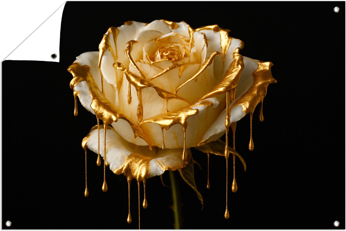 Gouden druppels op roos – buiten – Tuinposter – 120x80 cm