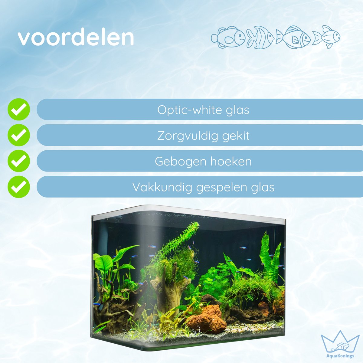 AquaKonings Aquarium 30x18x21cm - 11L met afgeronde hoeken thumbnail 2