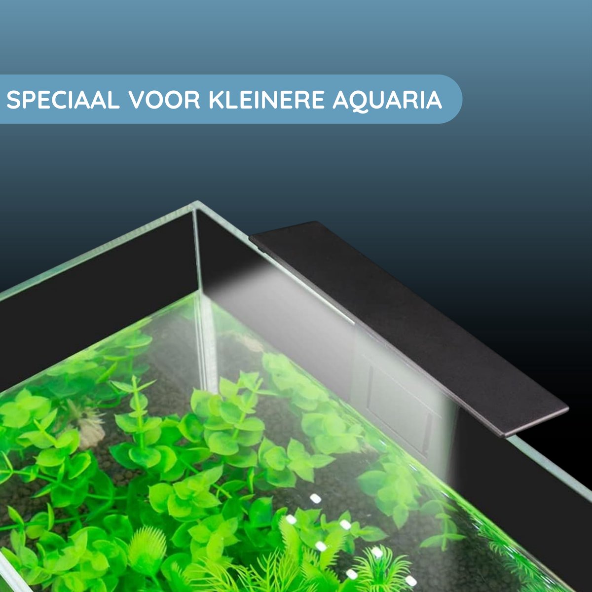 AquaKonings aquariumspot 5W voor aquaria tot 23 liter thumbnail 2