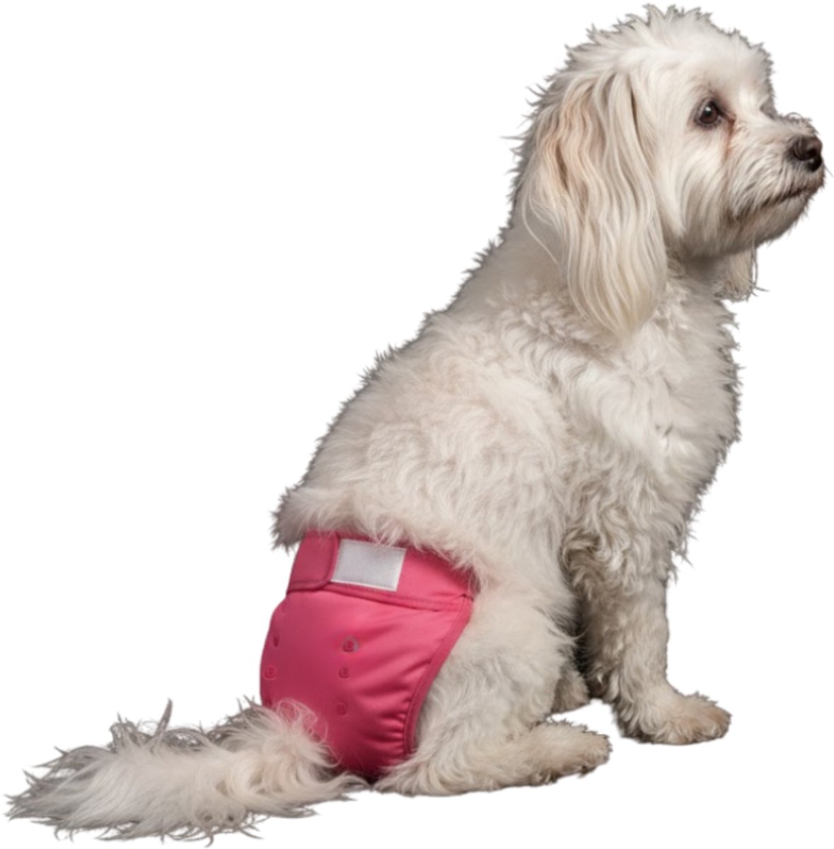 Loopsheidbroekje hond - roze - maat M - voor middelgrote teefjes - herbruikbaar - hondenbroekje - hondenluier - loopsheid - ongesteldheid - voorkomt ongewenste zwangerschappen bij teefjes - milieuvriendelijk - verantwoord - perfecte pasvorm