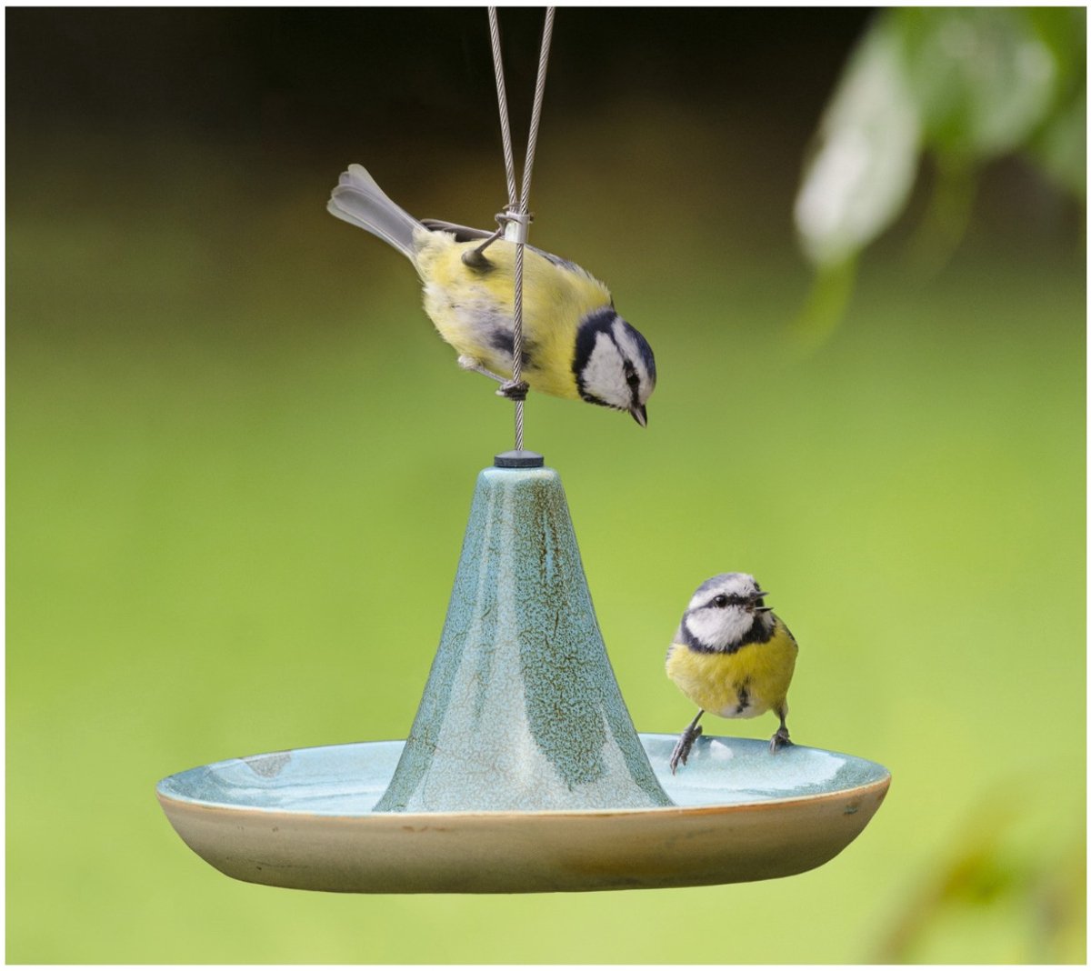 CJ Wildlife Vogeldrinkschaal voor Tuinvogels van C J Wildlife — cadeau in Wonen & Interieur - foto 3