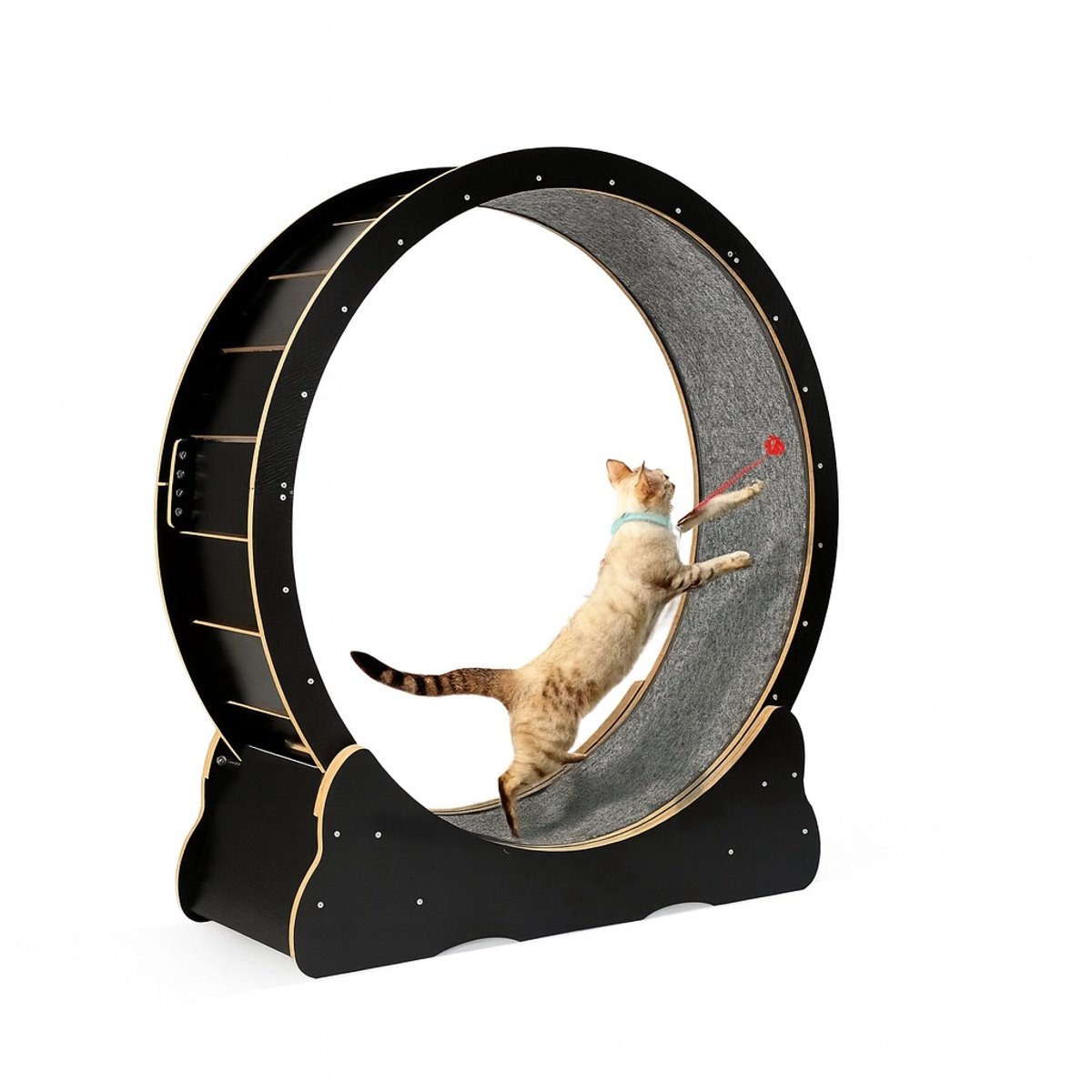 BlueTime - Loopwiel Kat - Katten Loopwiel - Nu inclusief kattenrugzak! - Looprad Kat - Kattenspeelgoed - Katten Speelgoed - Krabpaal - Katten Wiel - Katten