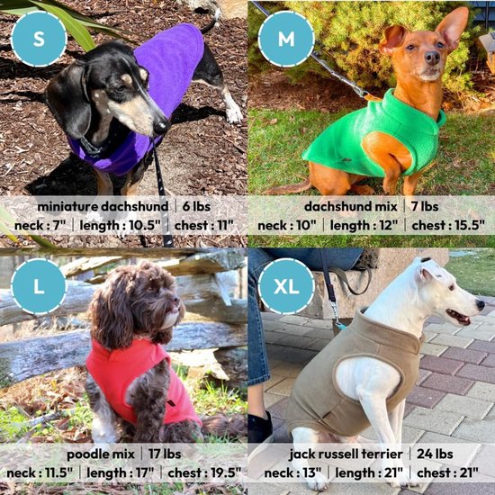 Vier honden in verschillende maten fleece jassen: S paars, M groen, L rood, XL bruin.