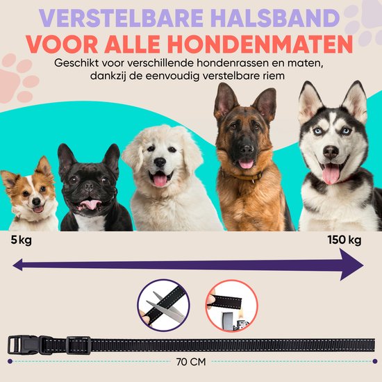Vijf honden van verschillende rassen en maten, met een verstelbare halsband van 70 cm.