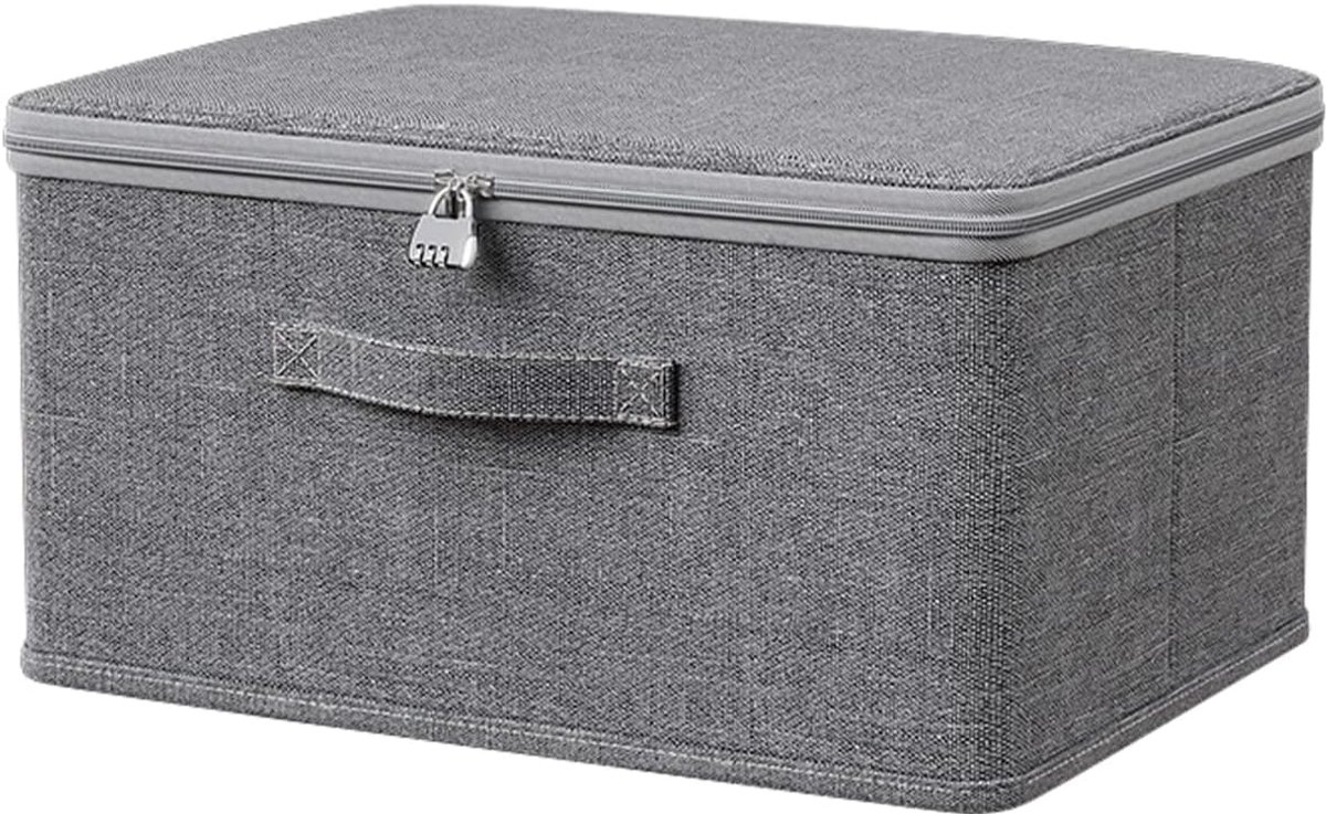 Afsluitbare Box met Deksel voor Koelkast of Medicijnen - 40x30x21 cm