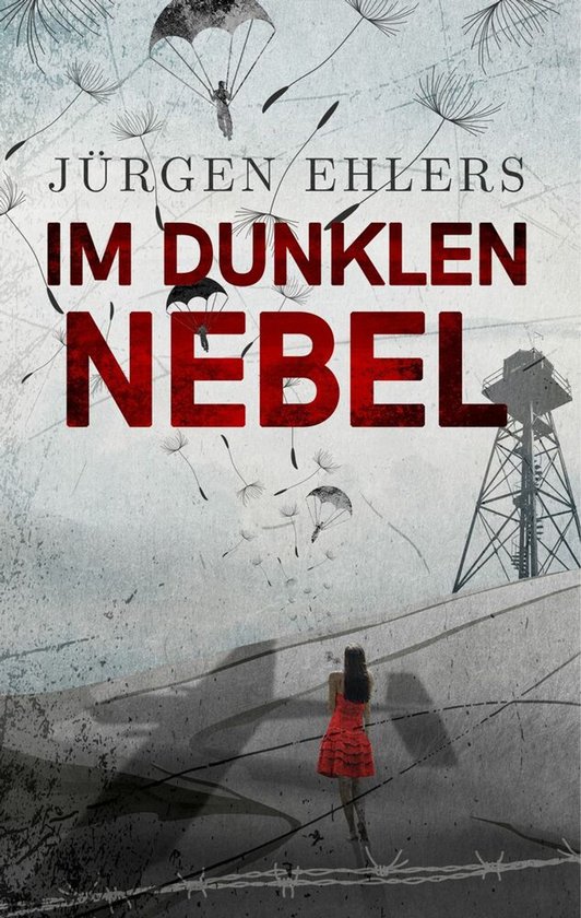 Im dunklen Nebel - cover