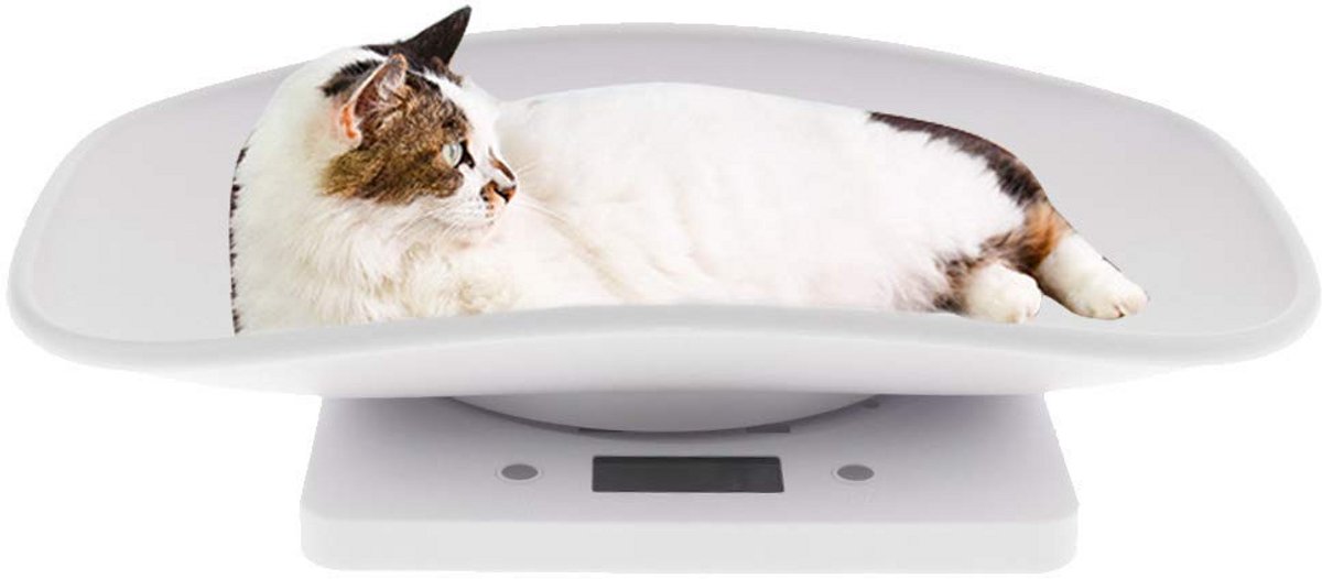 Digitale Huisdierweegschaal tot 10 kg - Groot LCD Display en Comfortabel Platform