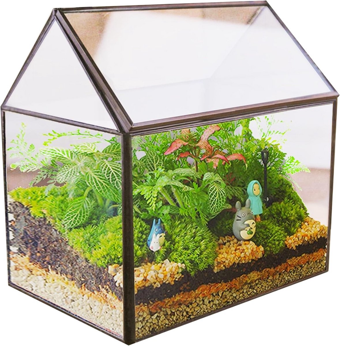 Geometrisch Terrarium van Glas voor Succulenten en Vetplanten - Moderne Huisvorm Bloempot