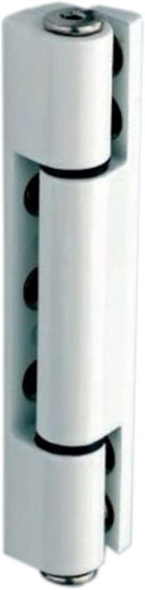 Gebogen UPVC Deurscharnier Wit 115mm voor Dubbel Glas