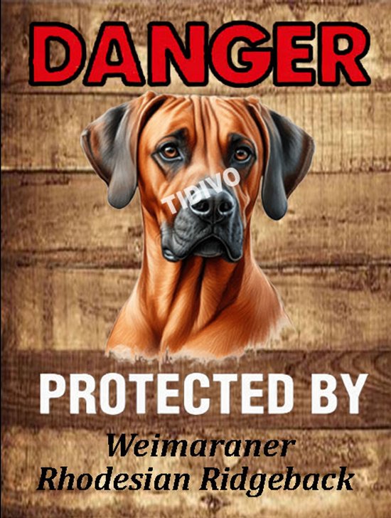 Weimaraner Rhodesian Ridgeback 19 | bol