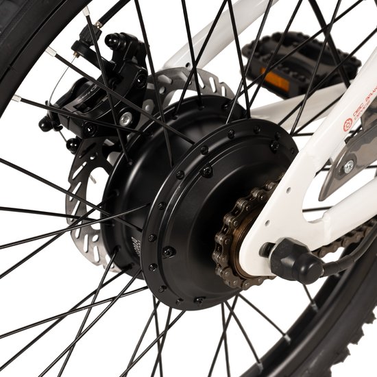 JOYSTAR 20 Inch Elektrische Kinder Mountainbike - 250W E-Bike voor Kinderen (7+ Jaar) - 25 km Actieradius - Met Verwijderbare Accu & Schijfremmen - Spaakwiel - Wit — afbeelding 4