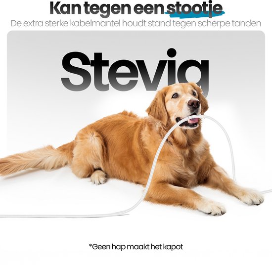 Een golden retriever kauwt op een witte kabel. Tekst: "Kan tegen een stootje".