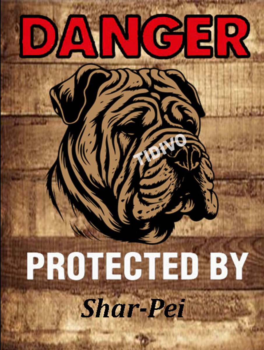 Shar-Pei 19