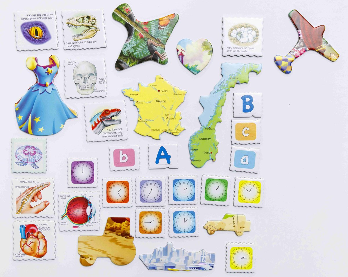 Larsen Nederland met provincies en vlaggen – Puzzel – Kaarten & Geografie – Nederland – Educatieve legpuzzel voor kinderen – 48 stukjes – Gemaakt in Noorwegen – Extra dikke 2,5 mm stukjes – Tray met vaste rand — afbeelding 12