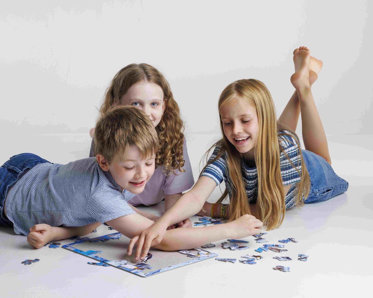 Larsen Nederland met provincies en vlaggen – Puzzel – Kaarten & Geografie – Nederland – Educatieve legpuzzel voor kinderen – 48 stukjes – Gemaakt in Noorwegen – Extra dikke 2,5 mm stukjes – Tray met vaste rand — afbeelding 17