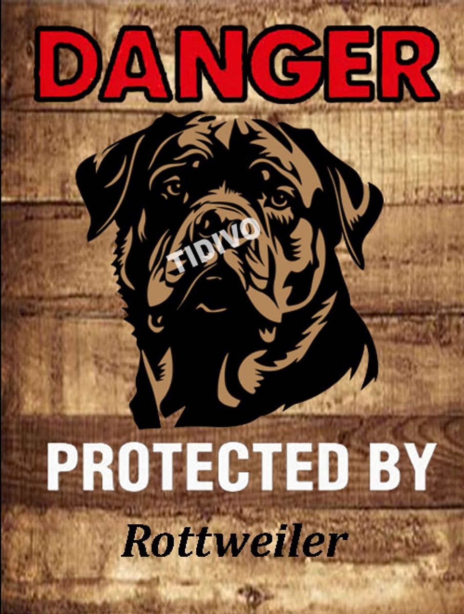 Rottweiler 19