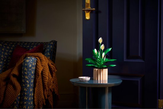LEGO Botanicals plant à cuillère - Ensemble de Construction Décoration Fleurs pour Adultes - 11504