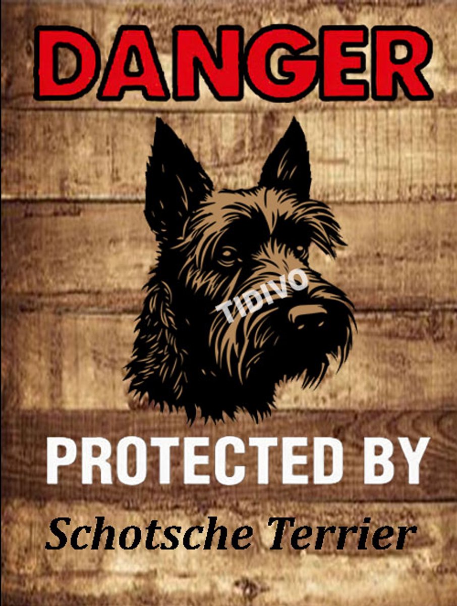 Schotsche Terrier 19