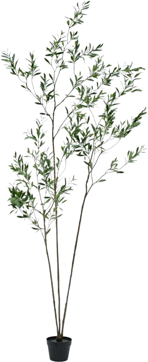 Silk-ka Kunstplant voor Binnen Olijf Groen 227 cm