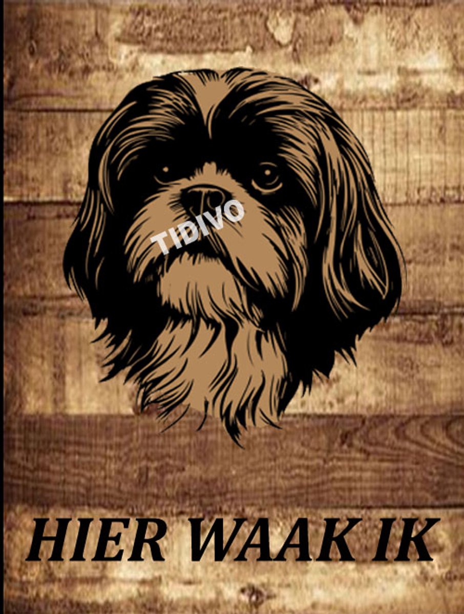 Shih Tzu 20