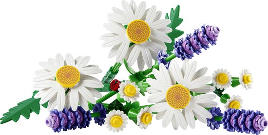 LEGO Botanicals Madeliefjes Bloemen - Bouwpakket voor Kinderen - 11508