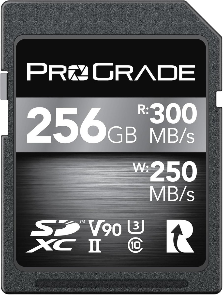 SDXC UHS-II V90 300R Geheugenkaart 256GB