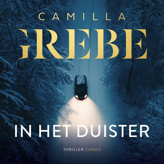 In het duister - cover