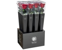 four seasens - eeuwige roos - Rose Amor- Longlife echte rozee roos 50cm - doorzichtige cadeau koker - cadeau - liefde cadeau -