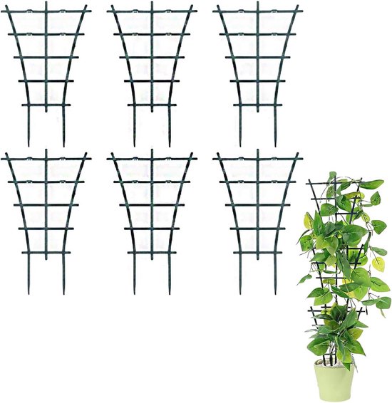 Klimplanten | Tuincentrum GroenRijk Doetinchem Klimplanten | Tuincentrum GroenRijk Doetinchem