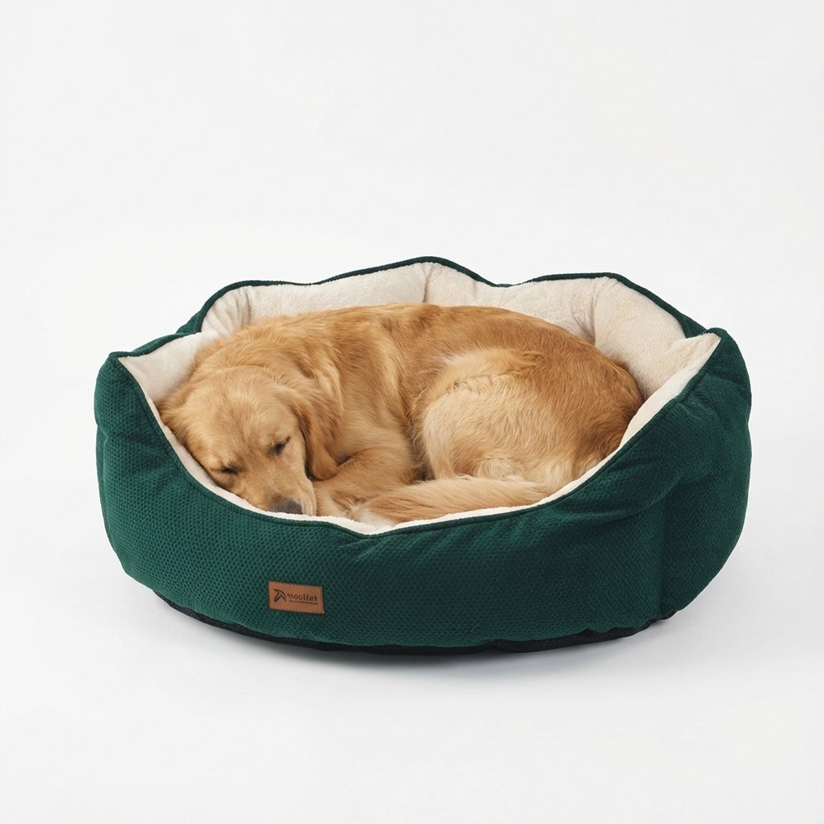 Woolart Hondenmand - Luxe Hondenkussen - Kattenmand - Wasbaar - Maat XL - Groen