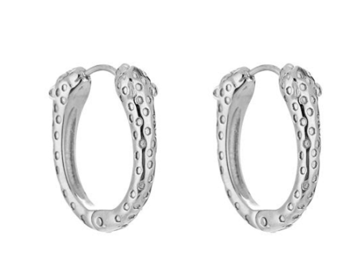 oorbellen kleur zilver slang - earrings snake - stainless steel - waterproof - cadeau moeder dochter