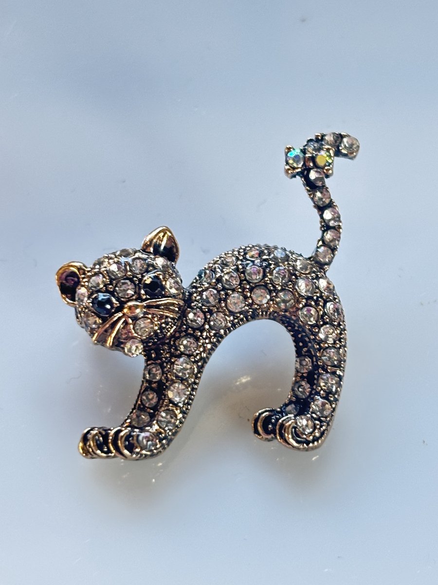 Vibe - broche - kat - doorzichtig - zilver - juweel - geschenk - accessoires - verjaardag